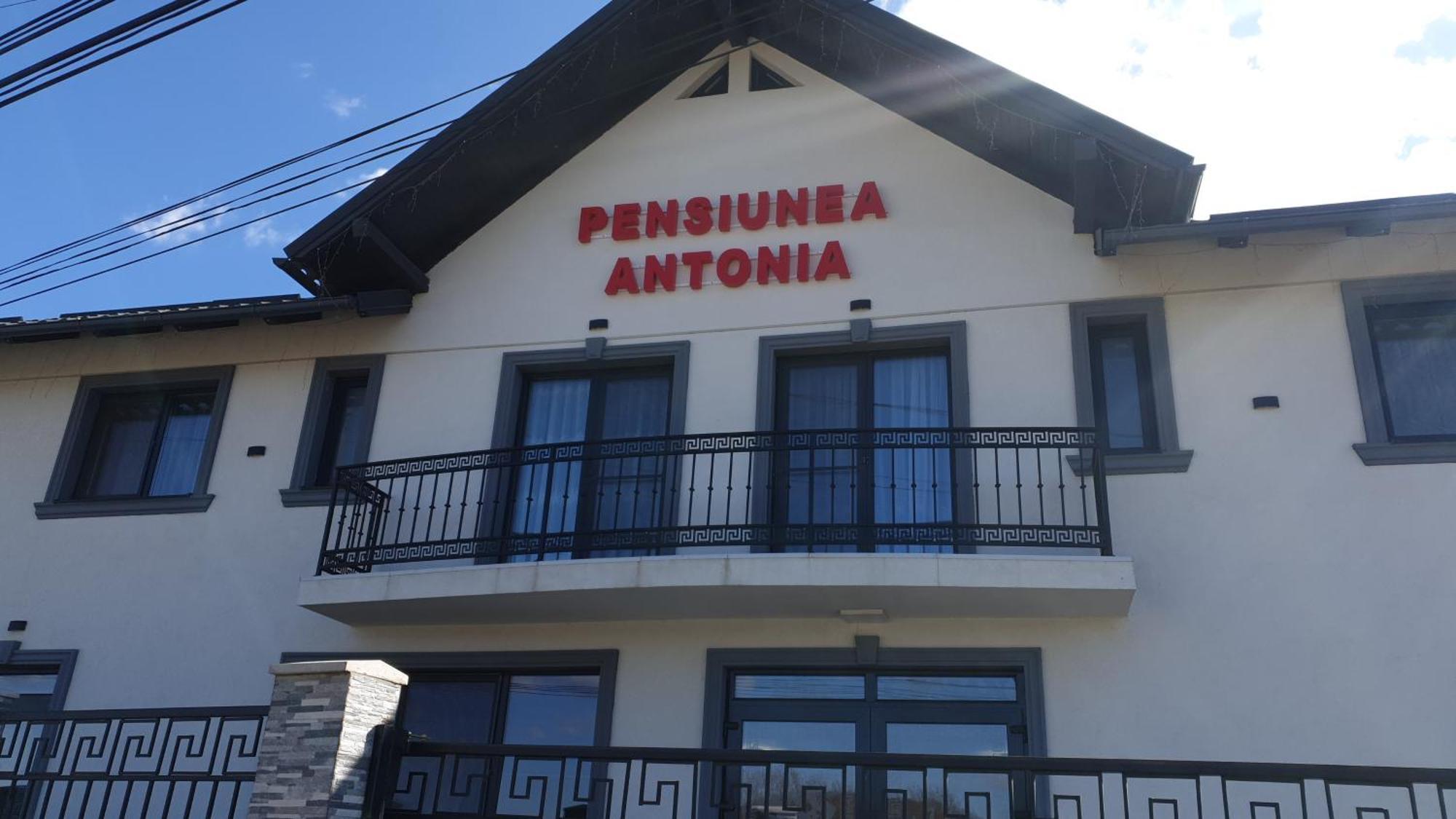 Pensiunea Antonia Sighetu Marmatiei Exterior photo