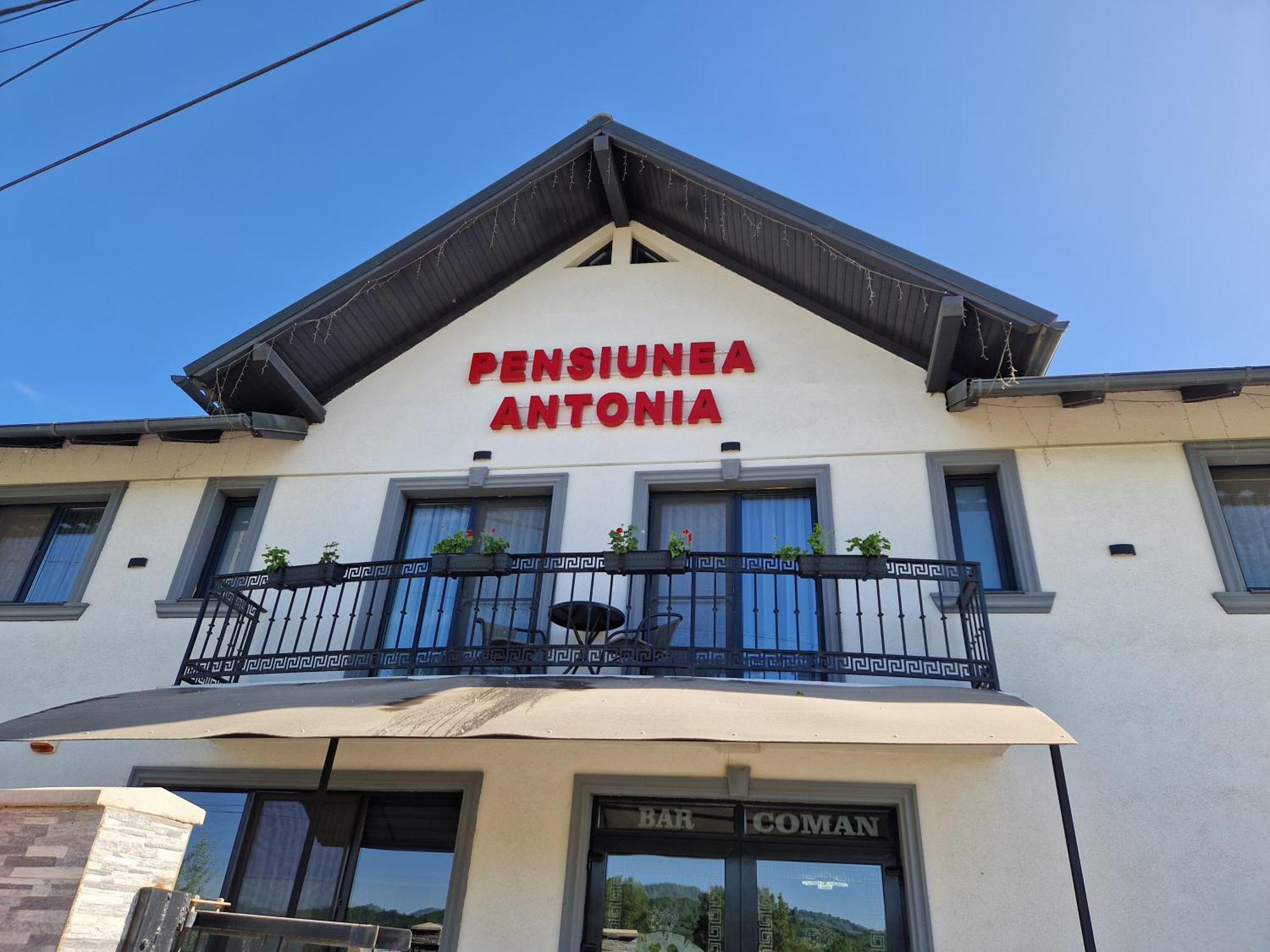 Pensiunea Antonia Sighetu Marmatiei Room photo